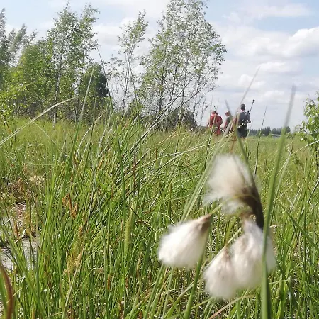 Karkausmaeen Kammari 3* Kinnula