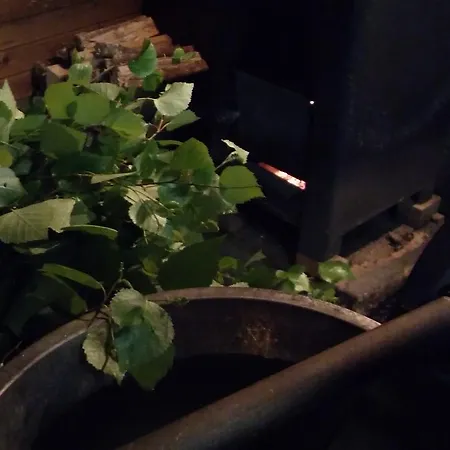 Karkausmaeen Kammari Estalagem Kinnula